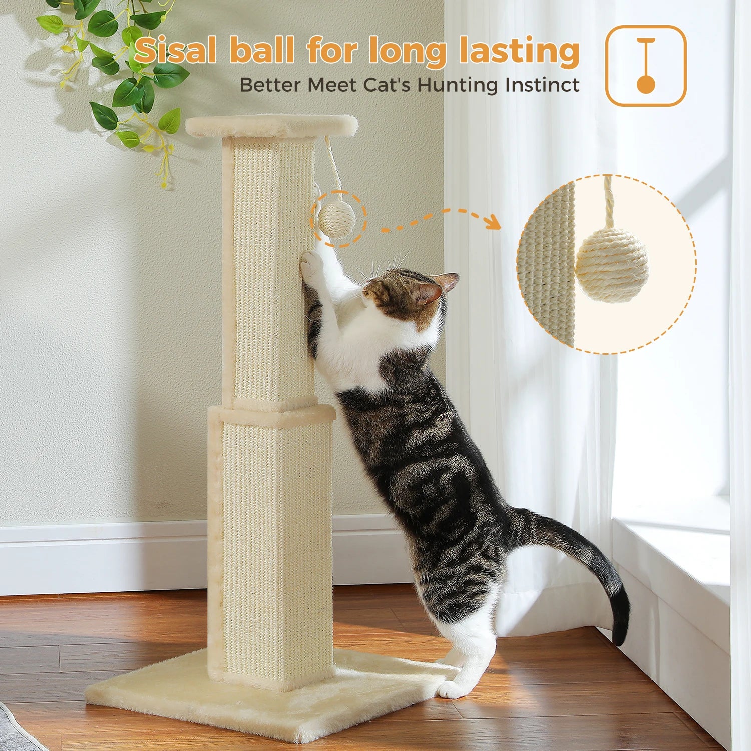 80cm Cat Scratching Post for Indoor Cat Scratcher with Nature Sisal Ball Tall Scratching Post for Large Cats Kitten Pet Toys - high-quality product
