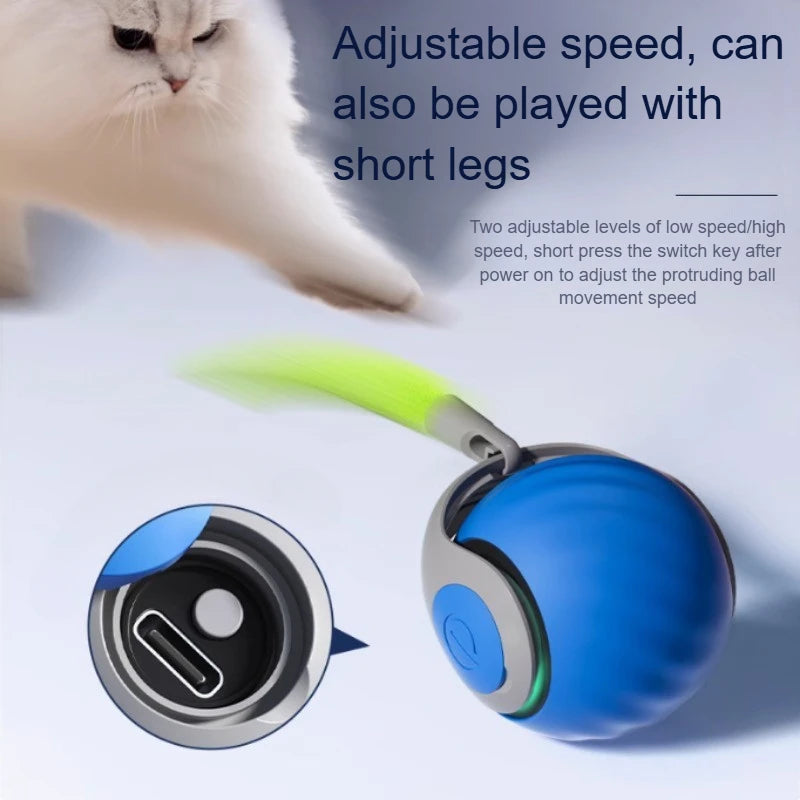 Cats Interactive Ball Toys, Automatic Rolling Ball with Faux Tail,USB Rechargeable SmartElectric Pet Toy for Teaser and Training Automatische uitschakeling - product feature